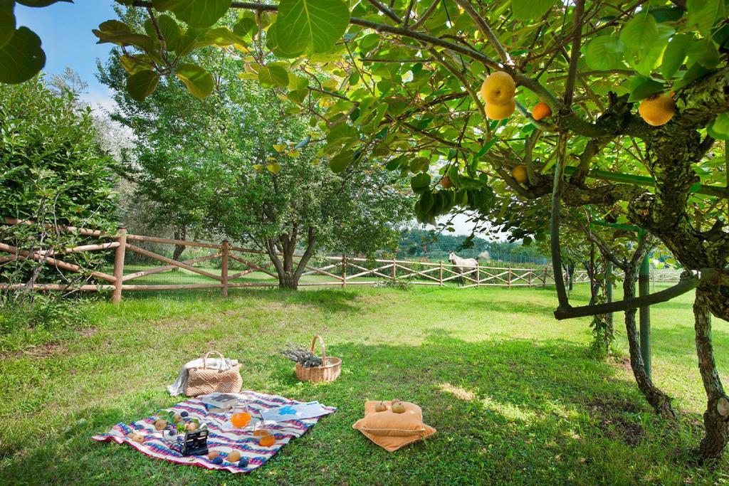 Olea Dei Holiday Apartments Сан Феличе дел Бенако Екстериор снимка