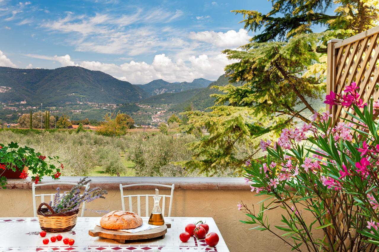 Olea Dei Holiday Apartments Сан Феличе дел Бенако Екстериор снимка